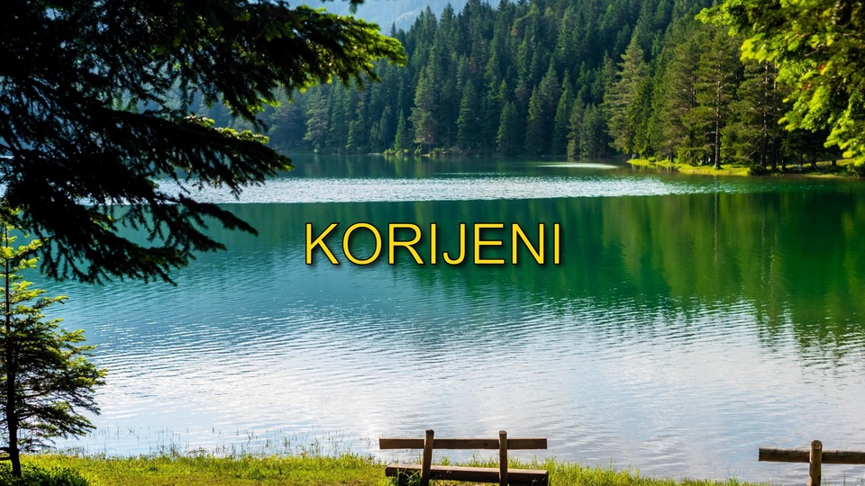 Serije  Korijeni