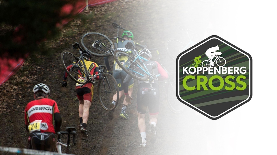 Ciklo-Kros: Trofej Cikolokros Brisel, Hame, Muškarci