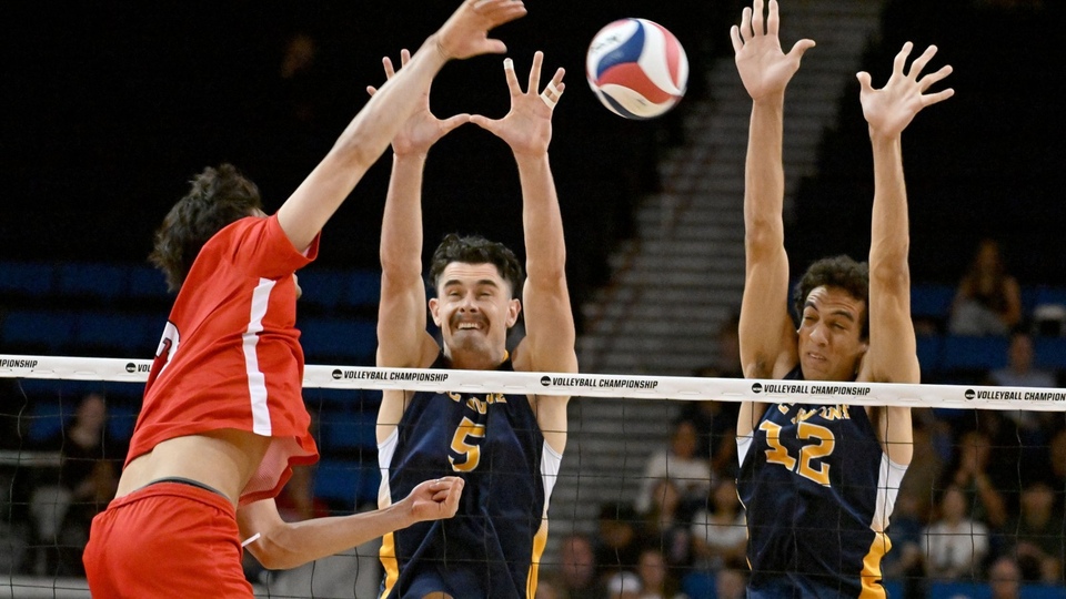 The best volleyball online