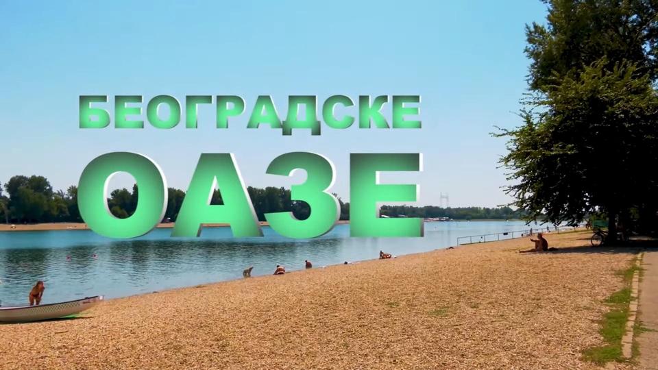 Dokumentarci Beogradske oaze: Ronjenje, emisije iz ekologije