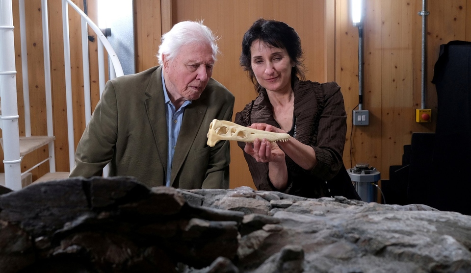Dokument Attenborough és a&nbsp;Jurassic tengeri szörny