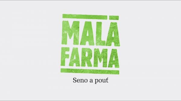 Seno a pouť