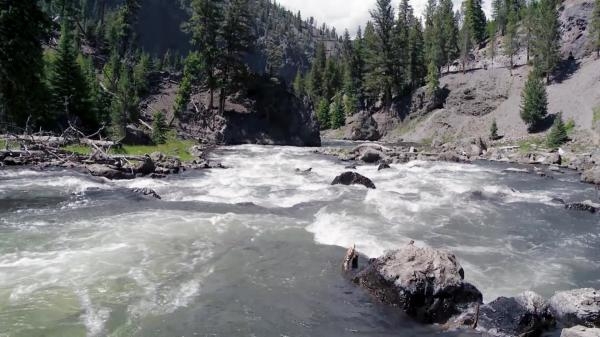 L'Europe a la reconquete de la biodiversité