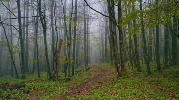 Nepoznate bitke Domovinskog rata