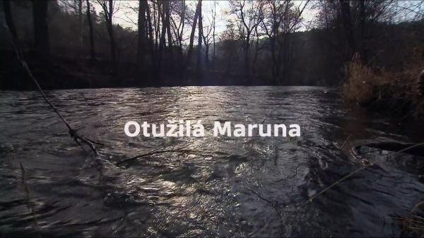 Otužilá Maruna