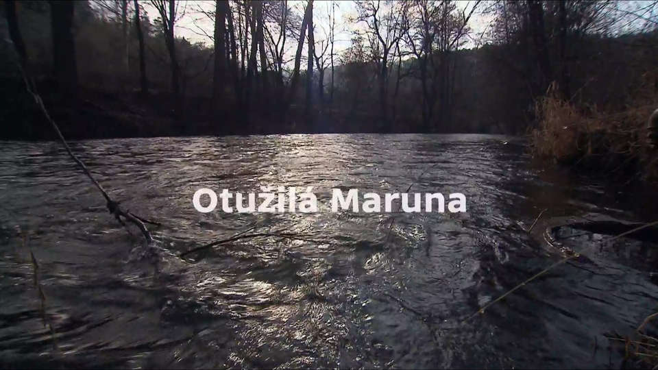 Documentary Otužilá Maruna