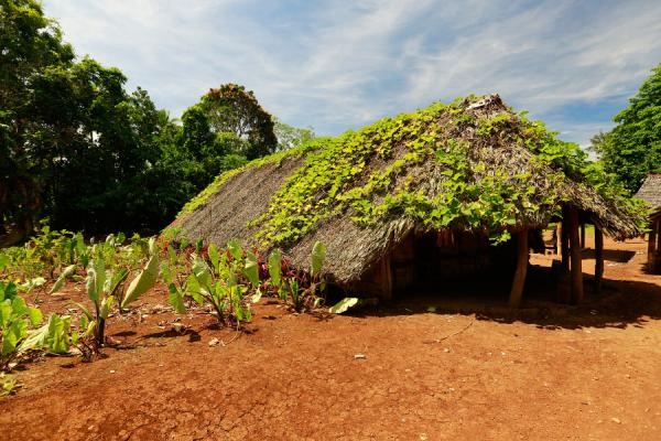 Útěk na Vanuatu