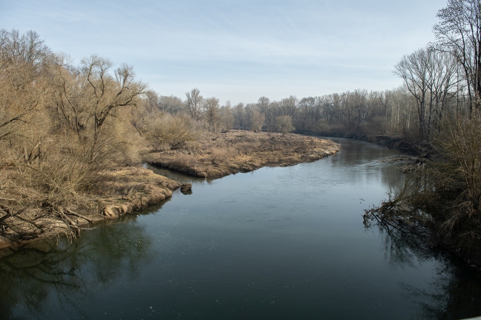 Dokument Vzpoura zvířat