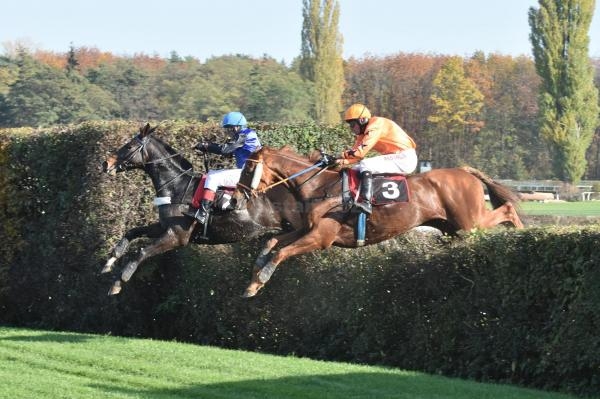 Dostihy: Úvodní cross country Koroka