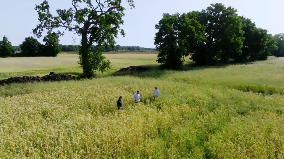 Dokument La viande végétale défend son bifteck