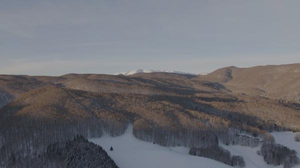 Zlato Venecije