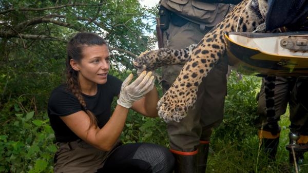 Dzienniki jaguara