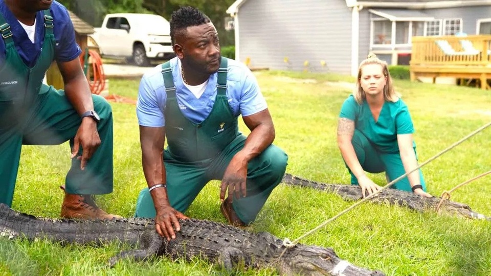 Dokumentarci Critter Fixers: Seoski veterinari: kompilacija o reptilima: Zmije i čegrtanje