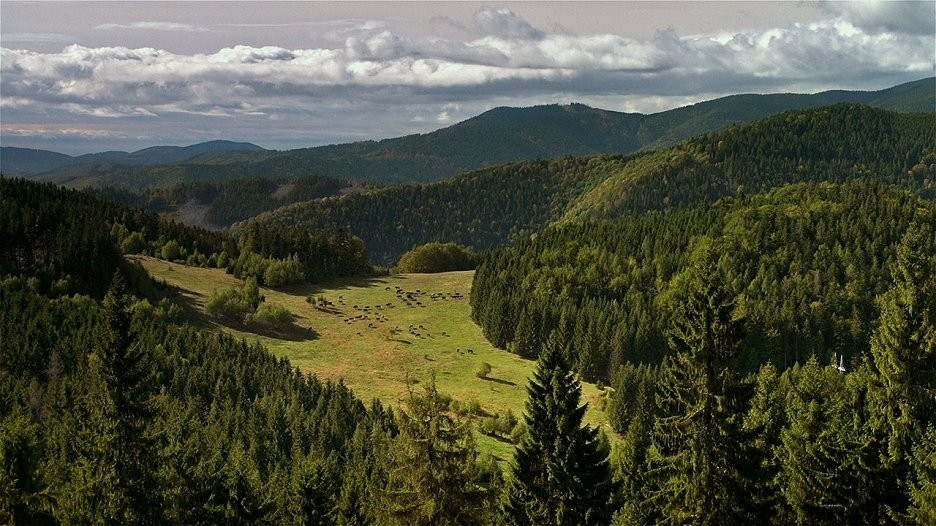 Dokument Ve větru kopyt