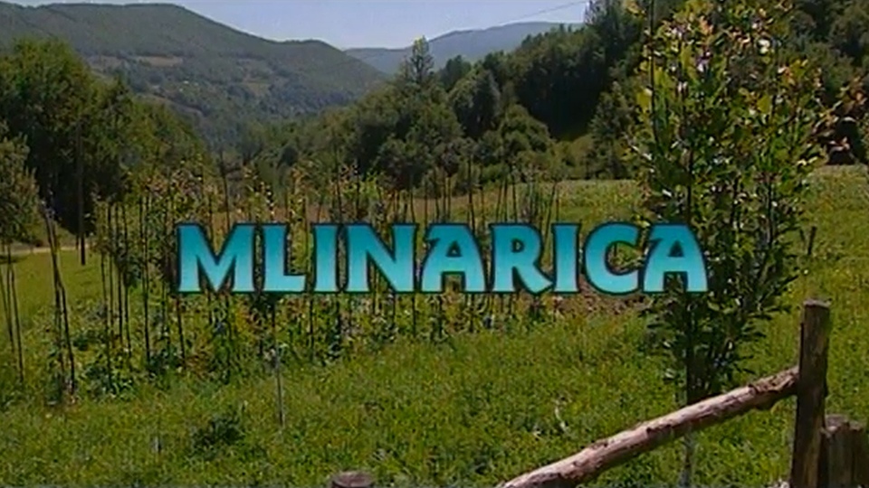 Документ Mlinarica