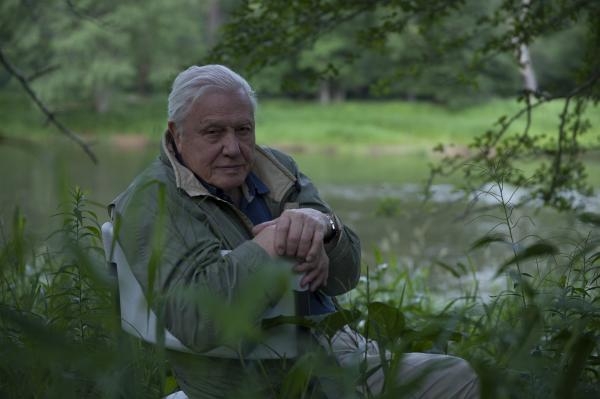 Život na naší planetě: Největší dobrodružství Davida Attenborougha