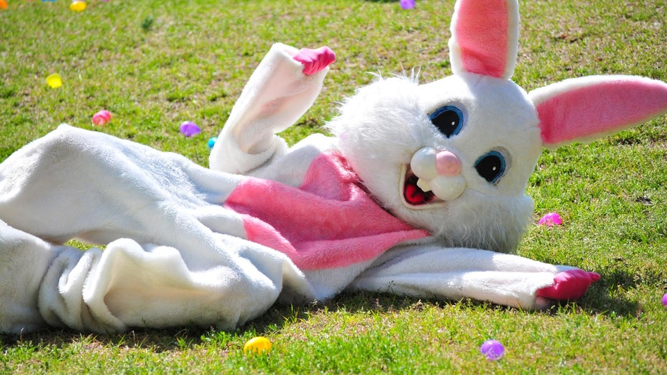 Dokument Tak świętujemy