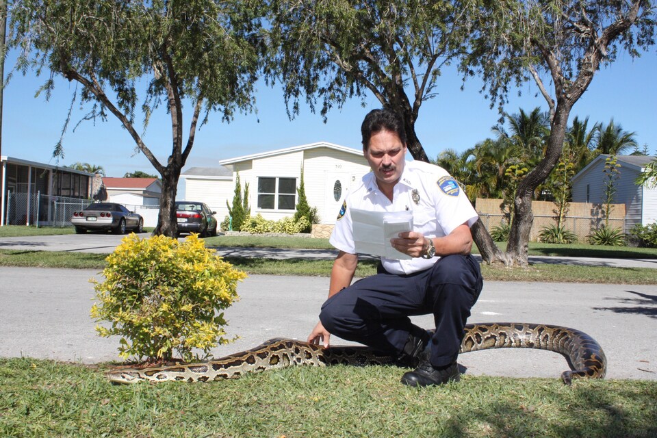 Veterinární policie Miami