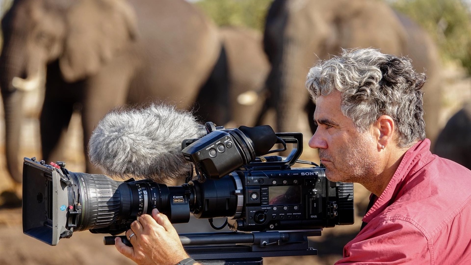 Polsat Viasat Nature