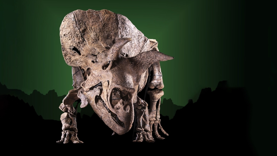 Документ Dinosaurska zarada