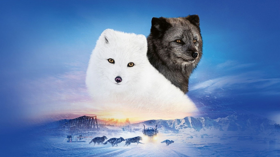 437 Сімейних фільмів онлайн