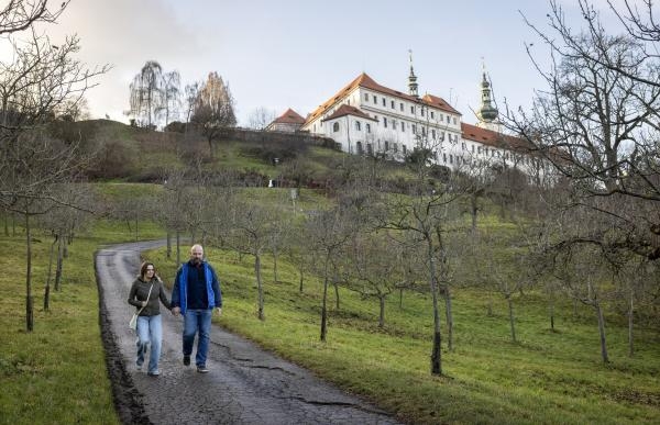 13. komnata Olgy Studničkové Šípkové