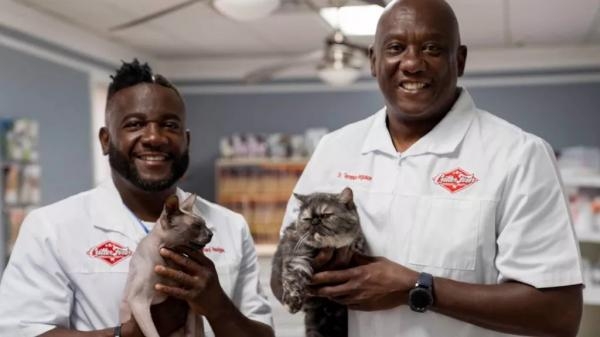 Critter Fixers: Seoski veterinari: kompilacija o psima