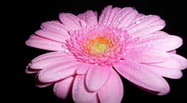 Dokument Charita ve středu - pomoc ženám ulice