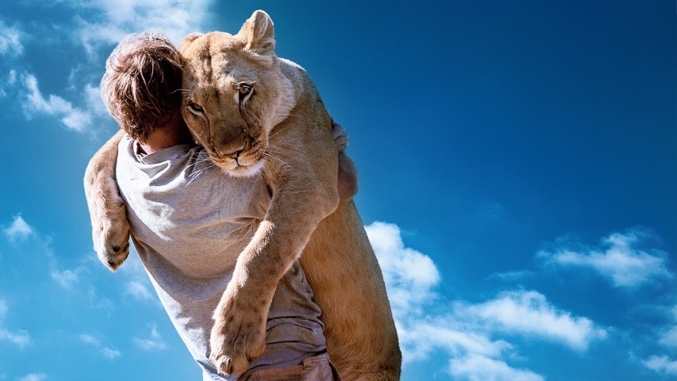 Документ Šelma doma