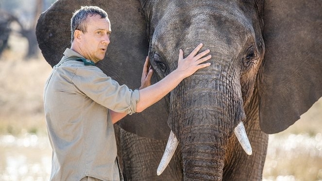 Документ Život v buši