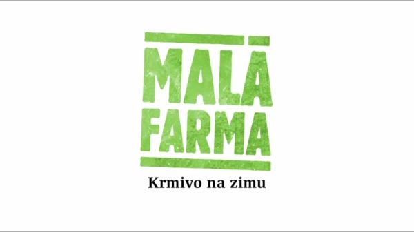Krmivo na zimu