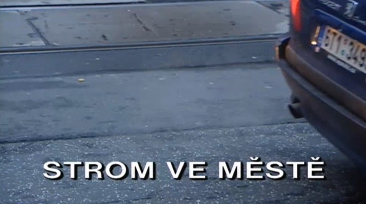 Dokument Strom ve městě