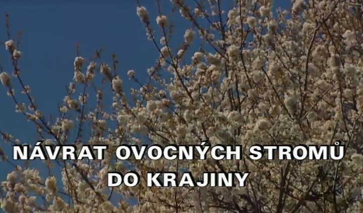 Najlepšie príroda z roku 2012 online