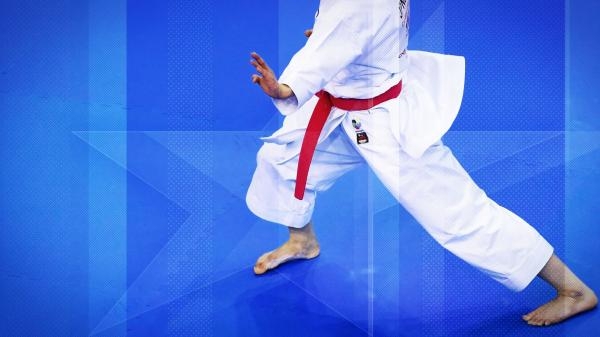 Karate: Senior, Ful kontakt