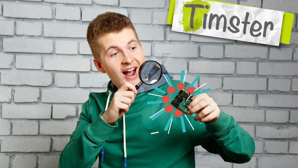 Timster