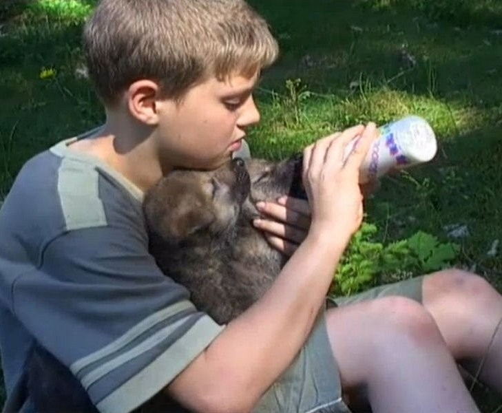 Nejlepší příroda z roku 2003 online