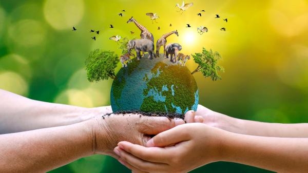 Pies i kot: kto tu rządzi?