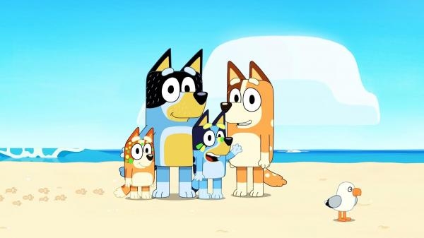 Bluey