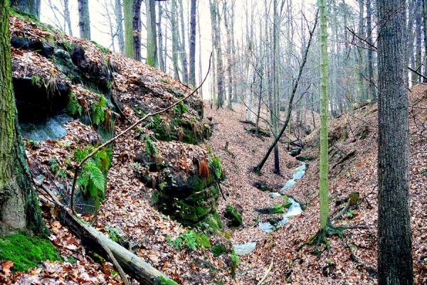 Národní park České Švýcarsko