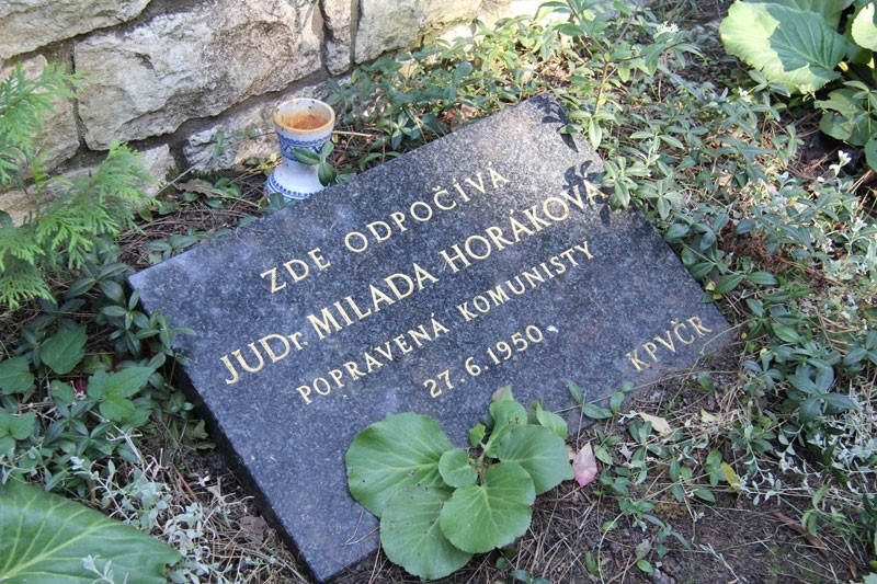 Dokument Těla nevydávat