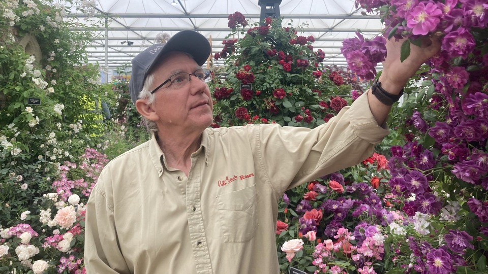 Dokumentarci Najslikovitije britanske grofovije - Norfolk i Suffolk