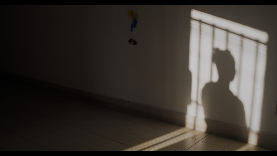 Dokument Les mots de l'ombre
