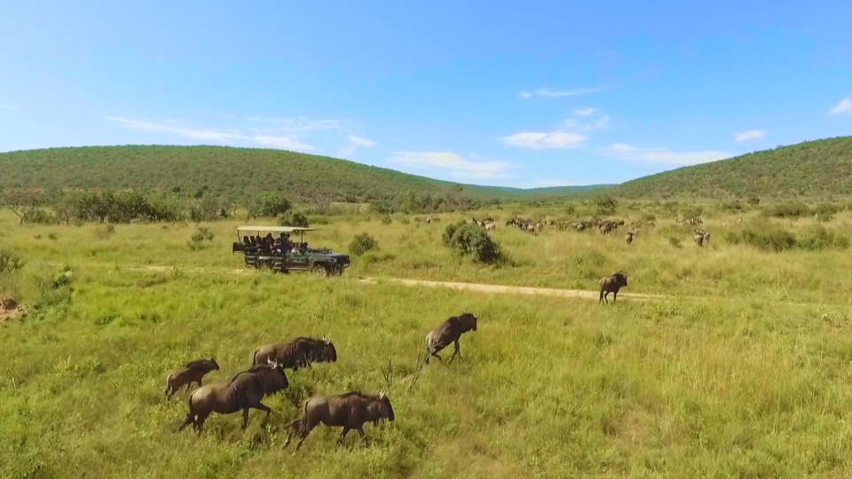 Dokument Afrika z&nbsp;ptačí perspektivy