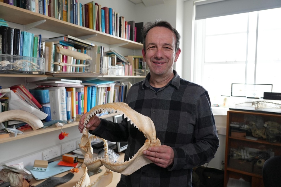 Documentary Morski psi