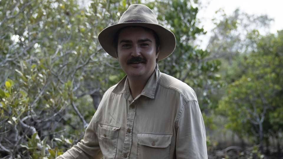 Dokument Stworzone, by przetrwać