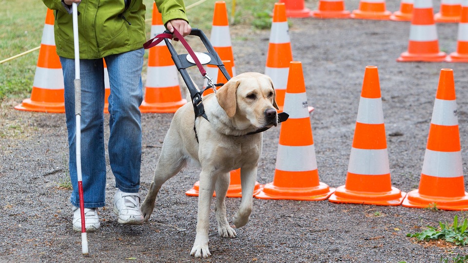 Dokumentarci Naše su mogućnosti beskonačne