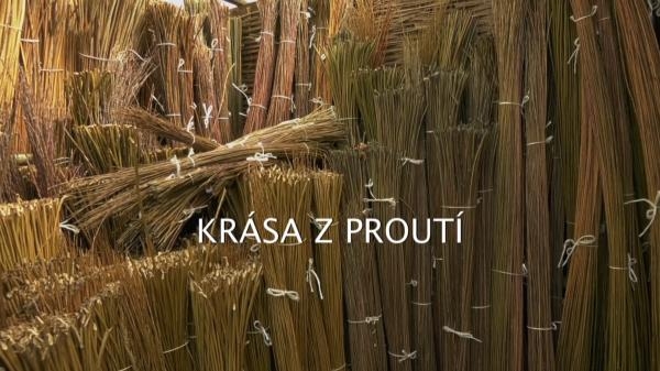 Krása z proutí