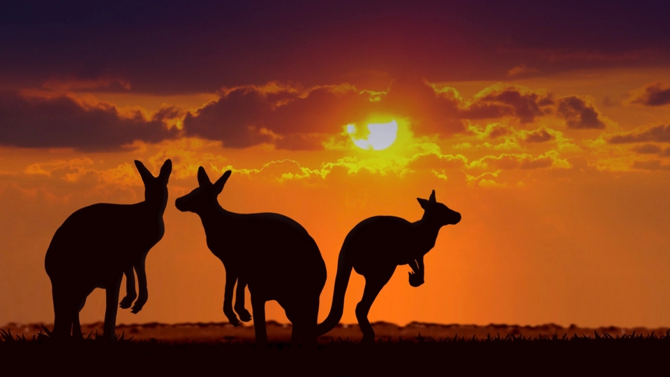 Priče iz Australije