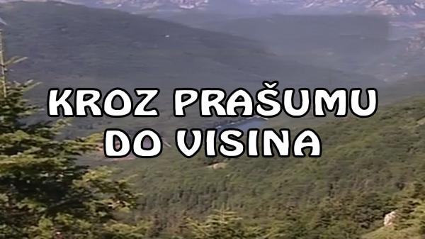 Kroz prašumu do visina