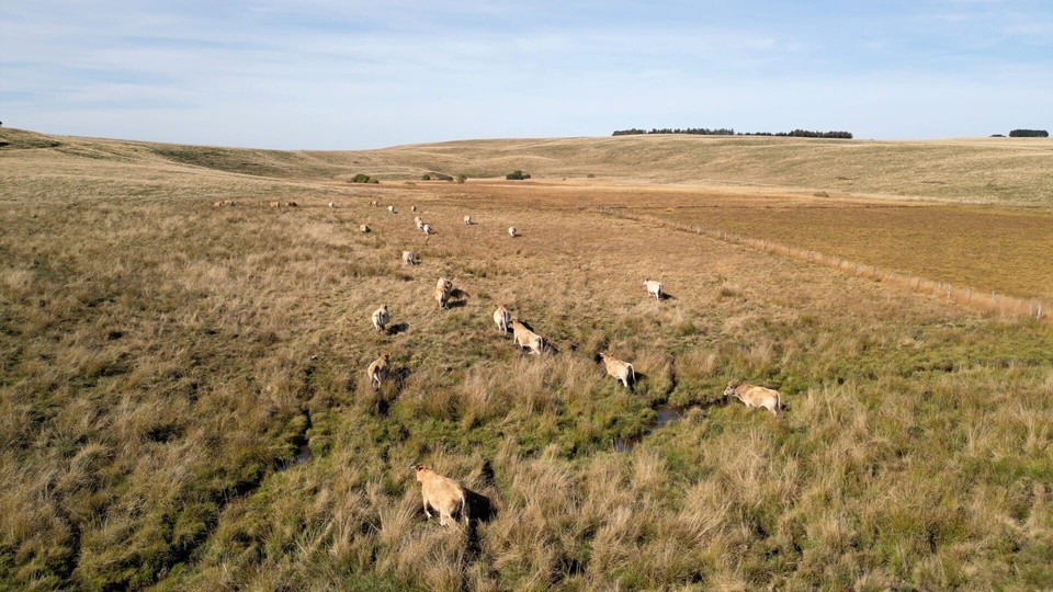 Dokument Toi l'Auvergnat, quand tu mangeras !